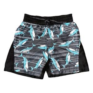 🔥 5 for $30 🔥 Wonder Nation Boys Shark Swim Trunks | XS 4-5